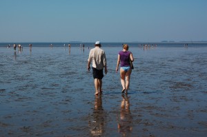 Wattwandern vor Dagebüll